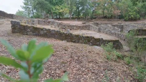 Foreground sapling overlooking low Castro de Santome terraces, Ourense Video stock 347898477