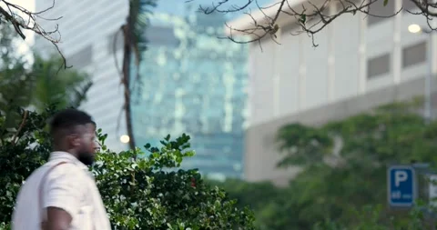 Foreground shrub is staying in focus while pedestrians are crossing sidewalk Stock Footage 342019185