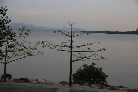 In the foreground, there is an empty area of black concrete with green plan.. Stock Photos