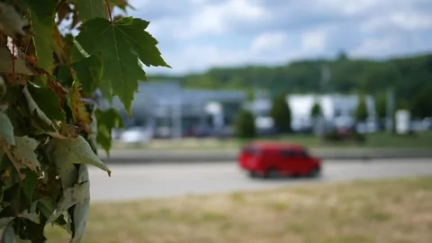 Foreground Tree against blurry highway traffic in Summer Afternoon Stock Footage 314686721
