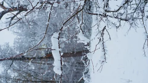 In the foreground, a tree branch is covered with snow. Stock Footage 296408724