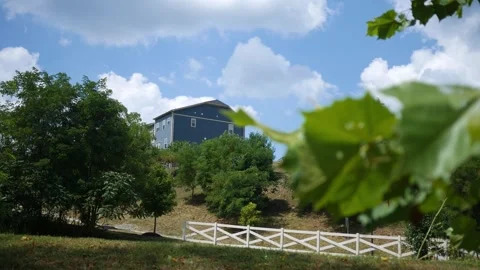 Foreground Tree with Housing Development Entrance in Background 2 Stock Footage 314686720
