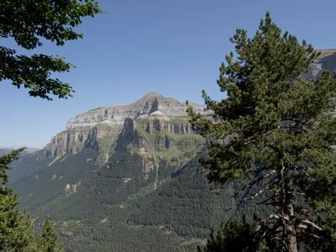Foreground of tree with mountains in the background Foto stock