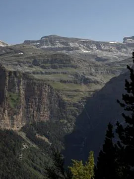 Foreground of tree with mountains in the background, vertical photo Stock Photos
