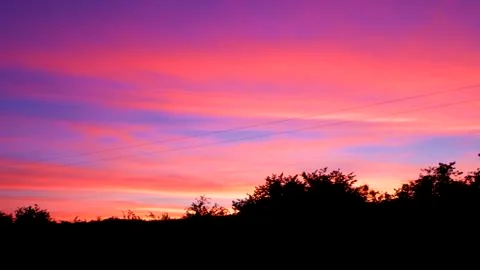 Foreground of trees,background powerful light Foto stock
