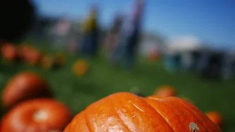 Foreground Vibrant Pumpkin at Fall Autumn october Festival 库存影片 347034100