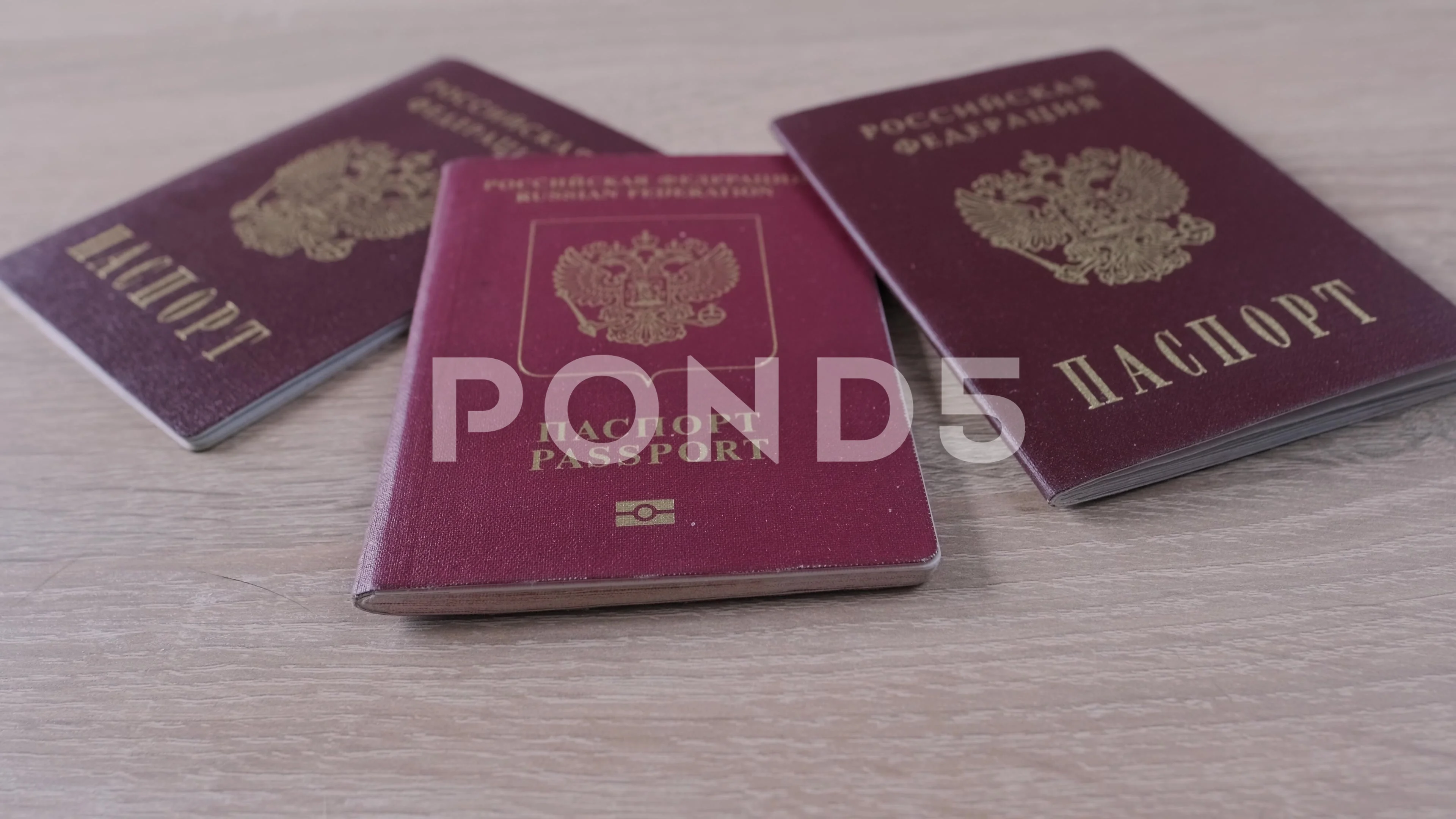 russian international passport