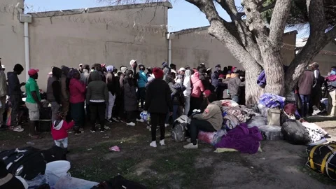 Foreign nationals queue for repatriation Stock Footage 339501253