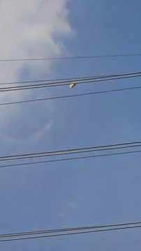 Foreign object debris hanging on high voltage overhead ground wire OHGW. Stock Photos