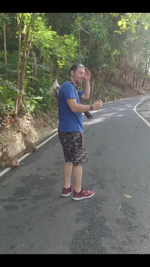 Foreigner Stock Footage 281619393