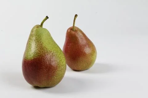 Forelle pair of pears on white BG Stock Photos