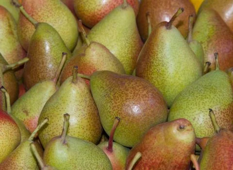 Forelle Pears Stock Photos