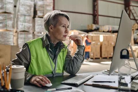 Foreman checking online documents on computer Foto stock