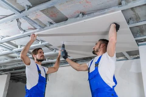 The foreman fixes drywall to the ceiling with a drill, his colleague helps him Stock Photos