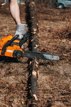 Foreman in work clothes cuts a dry tree with a chainsaw for later processing. Stock Photos