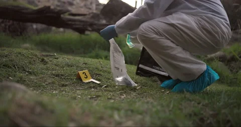 Forensic, bag or evidence at crime scene for investigation in forest with safety Stock Footage 269284168