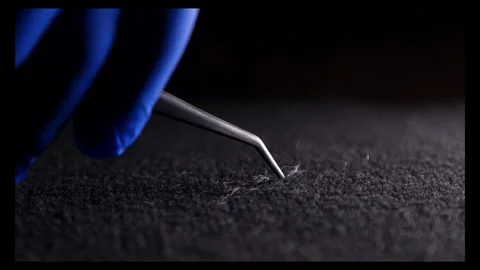 Forensic Collection Stock-Footage 311892189