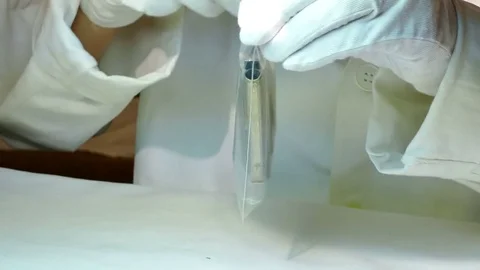 Forensic Examines a Pistol Stock Footage 82412877