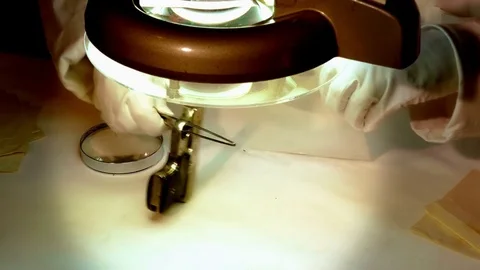 Forensic Examines a Pistol Stock Footage 82413501