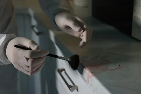 Forensic expert taking fingerprints from countertop with brush at crime sce.. Stock Photos