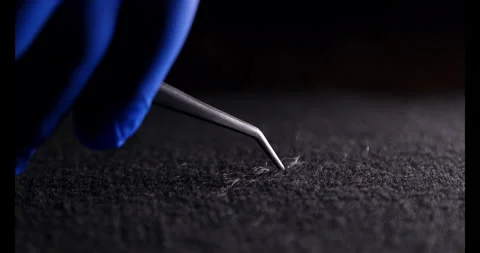 Forensic Fiber 4K Stock-Footage 311892159