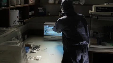 Forensic investigation Stock Footage 88799769