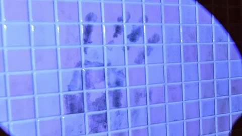 Forensic investigator using uv light to detect evidence Video stock 320815700