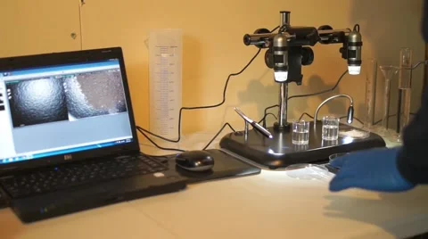 Forensic microscope comparison Video stock 45845716