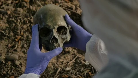 Forensic Officer examining human skull Vidéo 75643289