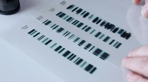 Forensic scientist compares DNA profiles, 4k, UHD Stock-Footage 49108185