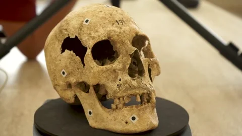 A forensic scientist examines a human skull in 192 AD Vídeos de archivo 159755594