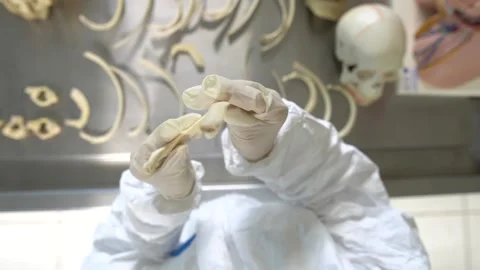 Forensic scientist examining human bones to retrieve information Stock Footage 144544233