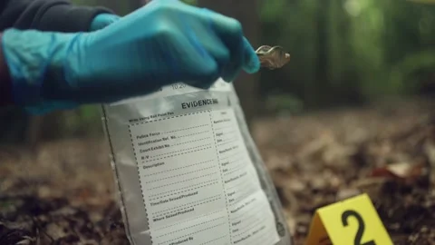 Forensic scientist working at crime scene. Collecting evidence Video stock 199242286