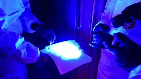 Forensic scientists in hazmat suits analyzing evidence with uv light in a d.. Stock Footage 320815713