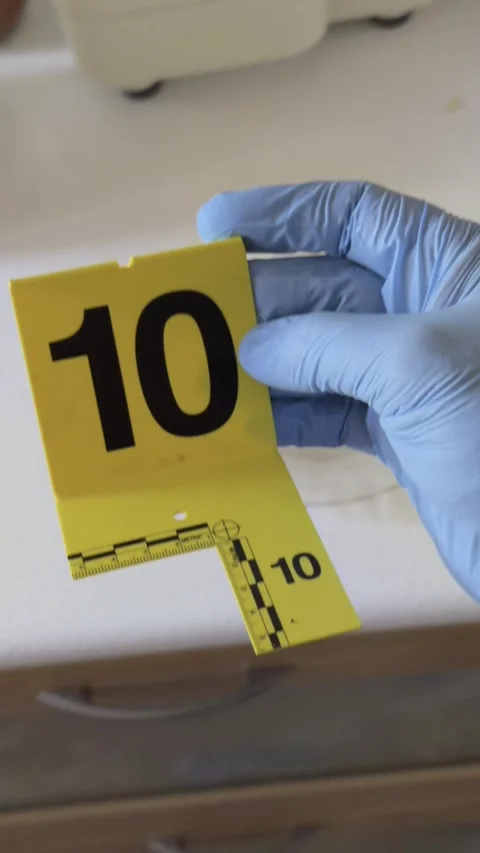 Forensic specialist placing an evidence marker next to a knife Stock-Footage 330574266