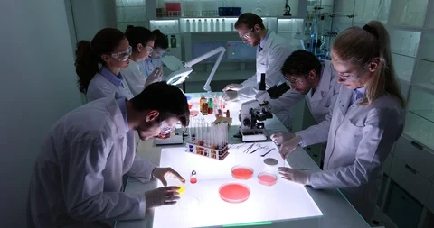 Forensics Group Chemists Working Study Blood Sample Medical Research Laboratory Video stock 87923378