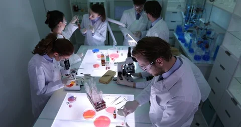 Forensics Group Work Talk Medical Hospital Science Laboratory Research Project Stock Footage 87907149