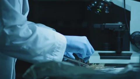 Forensics Technician Looking at Fibres Under a Microscope HD Video Stock Footage 90053217