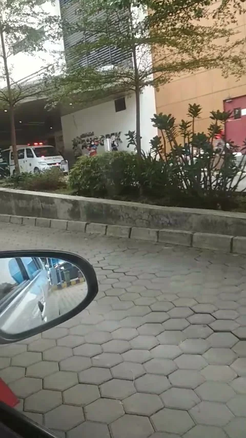 Fores Video stock 209233400