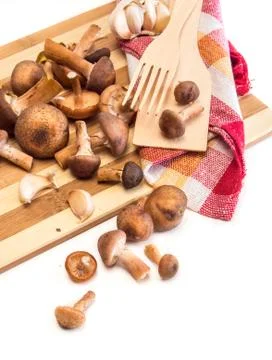 Fores mushroom Stock Photos