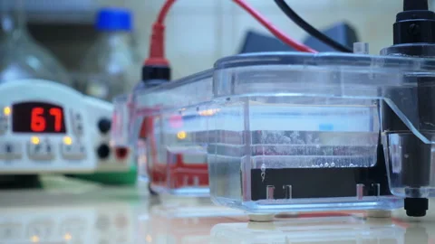 Fores only bottles Stock Footage 94692587