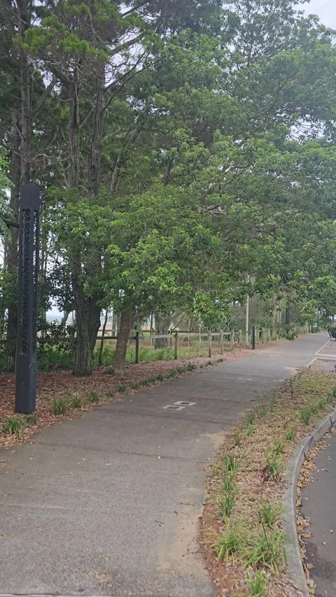 Foreshore Cycle Path, Hervey Bay, Queensland, Australia – Vertical 8K Video stock 299021892