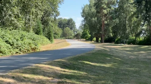 Foreshore Park Stock Footage 172041556