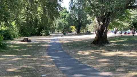 Foreshore Park Stock Footage 172041582