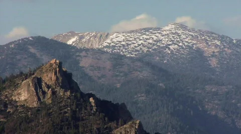 The Forest 09 - HD Stock Footage 133897