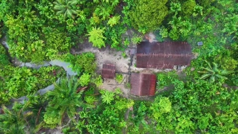 FOREST 17 Stock Footage 297732189