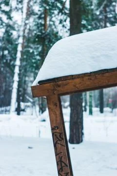 Forest-17 库存照片