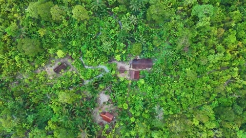 FOREST 18 Stock Footage 297732204