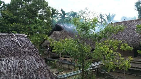 FOREST 23 Stock Footage 297732264