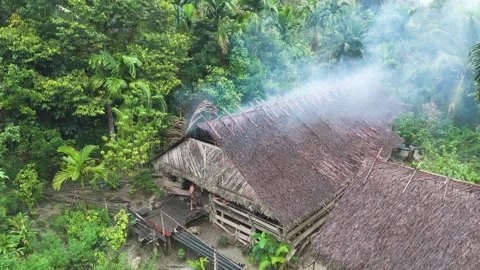 FOREST 25 Stock-Footage 297732331